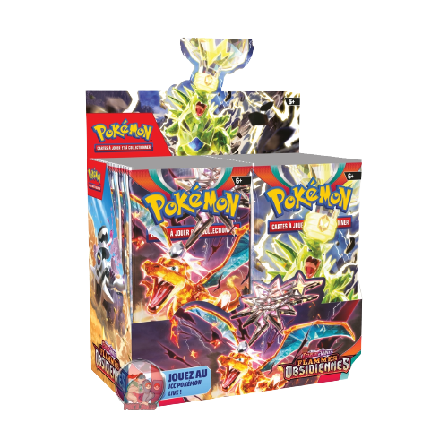 Coffre aux Trésors Dracaufeu EX Flammes Obsidiennes - Pokémon FR - Acheter  vos produits Pokémon - Playin by Magic Bazar