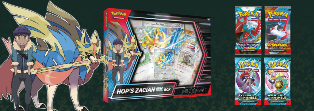 Collection Zacian de Nabil